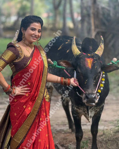 Collection image for: Vintage Kanchi Silk