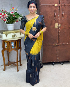 Collection image for: Kanchi Silk