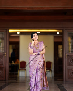 Collection image for: Border Less Kanchi Silk