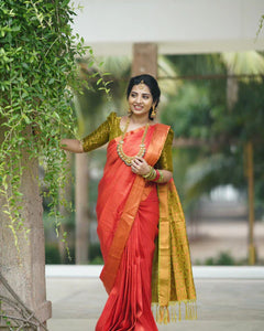 Collection image for: 3D Kanchi Silk