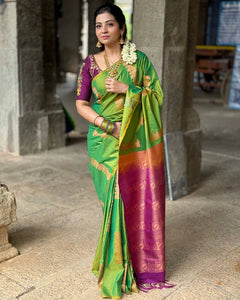 Collection image for: Border Less Kanchi Silk