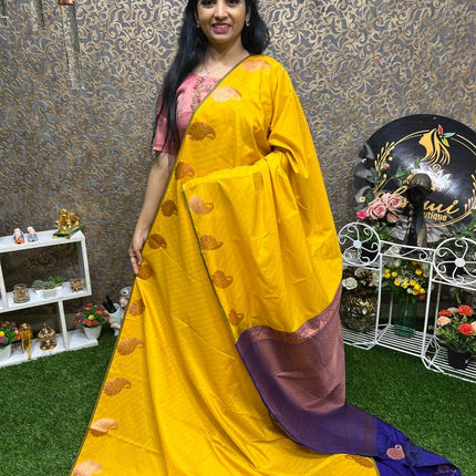 Kanchi Silk