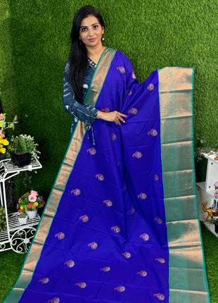 Premium Kanchi