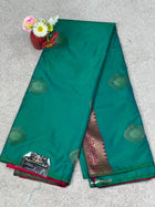 Border Less Kanchi Silk