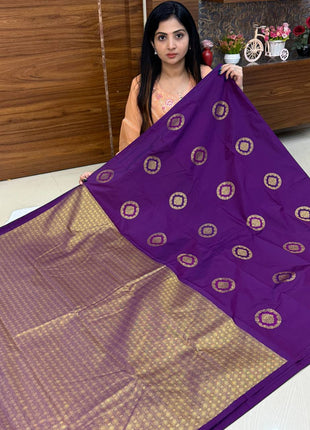 Border Less Kanchi Silk