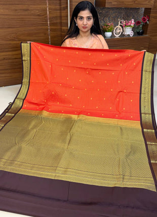 Vaira Oosi Gold Zari  Coffee Brown Border