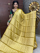Banarasi Soft Silk