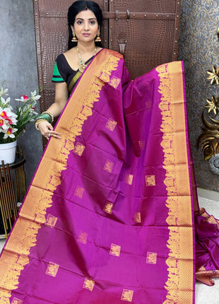 Premium Kanchi Gold Zari Pallaku Design