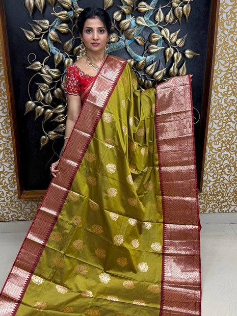 Kanchi Silk