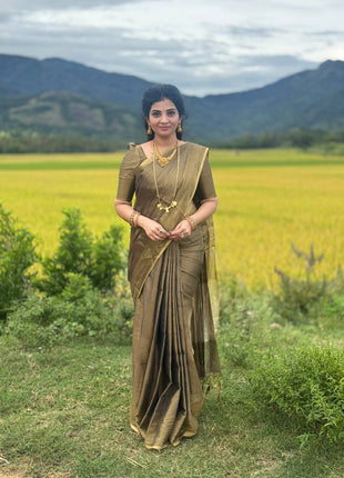 Tissue Saree