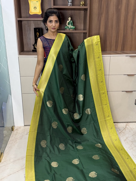 Kanchi Silk