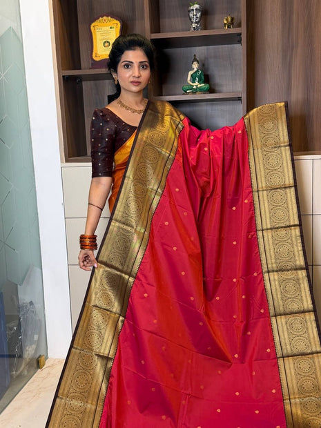 Premium Kanchi