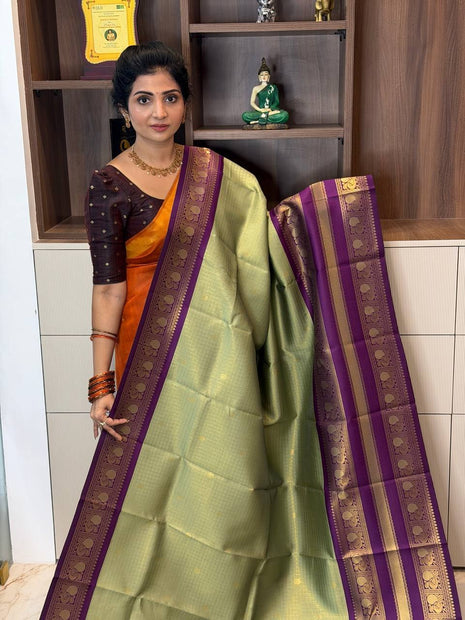 Semi kanchipuram Silk