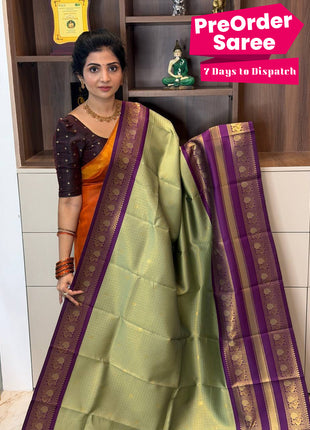 Semi kanchipuram Silk