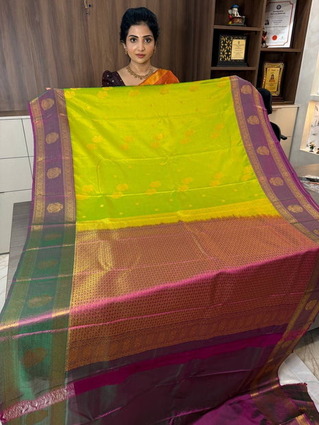 Premium Kanchi