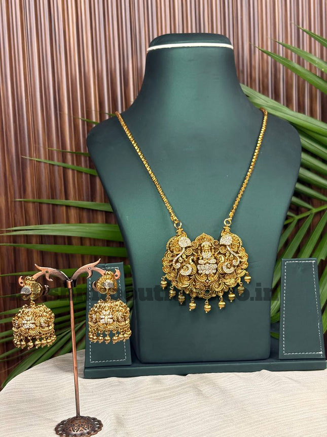 Long Dollar Chain With Earring