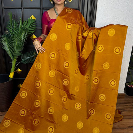 Border Less Kanchi Silk
