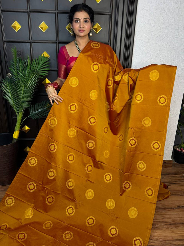 Border Less Kanchi Silk