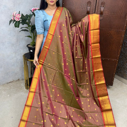 Kanchi Soft Silk