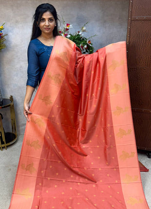 Mulberry Saree