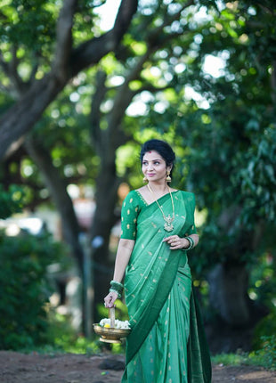 Vaira Oosi Golden Zari