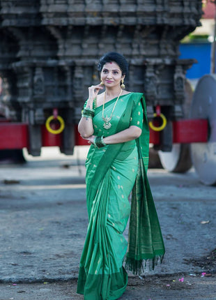 Vaira Oosi Golden Zari