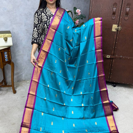 Kanchi Soft Silk