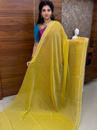 Fendi Designer Saree