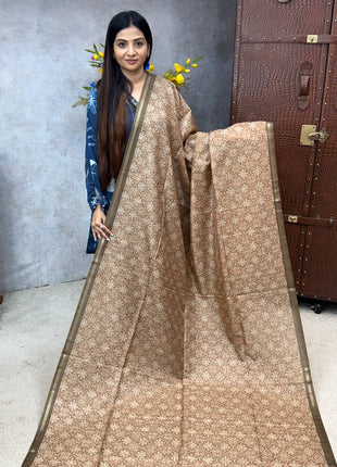 Ghicha Saree