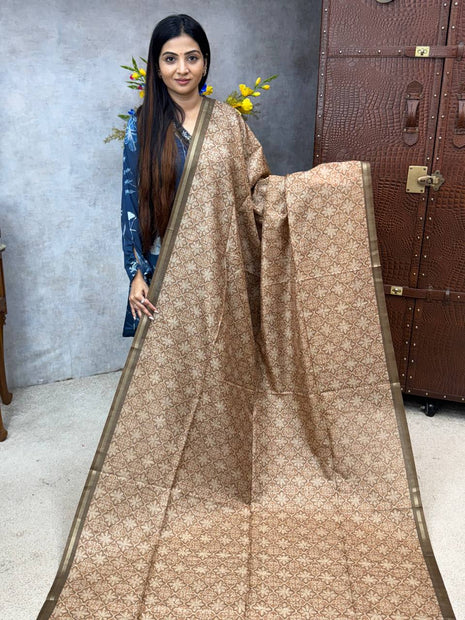 Ghicha Saree