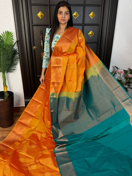 Kanchi Silk