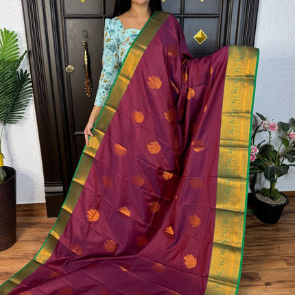 Kanchi Soft Silk