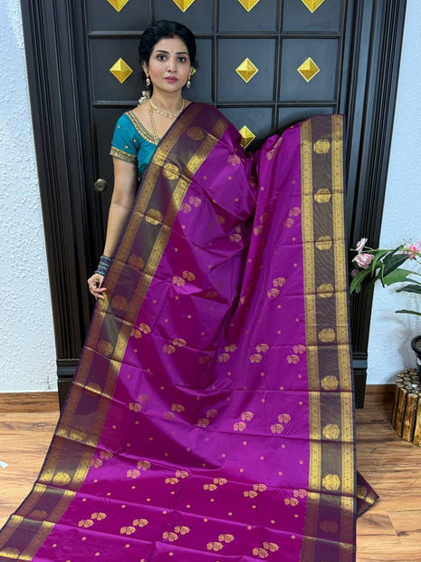 Premium Kanchi