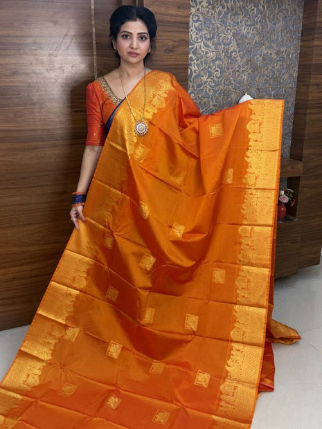 Premium Kanchi Gold Zari Pallaku Design