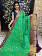 Vaira Oosi Golden Zari
