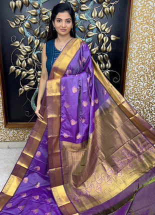 Kanchi Silk Gold Zari