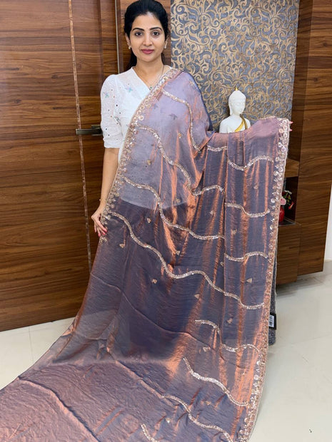 Fendi Designer Saree