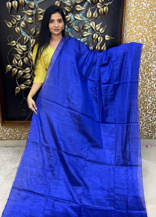 Tissue Saree