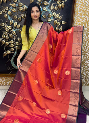 Premium Kanchi