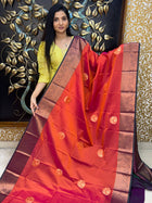 Premium Kanchi