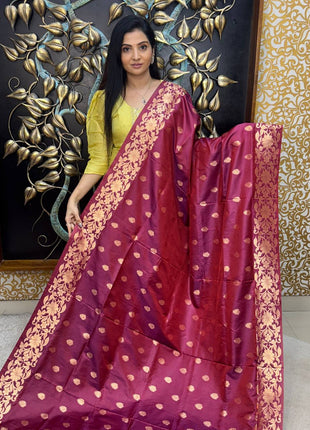 Kanchi Soft Silk