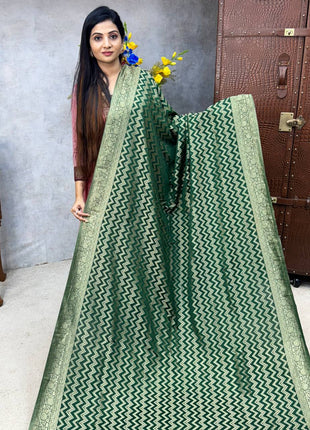 Pure Georgette Banarasi