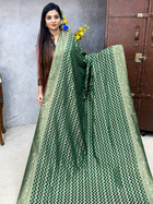 Pure Georgette Banarasi