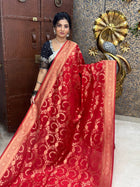 Pure Georgette Banarasi