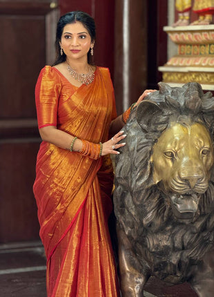 Tissue Saree