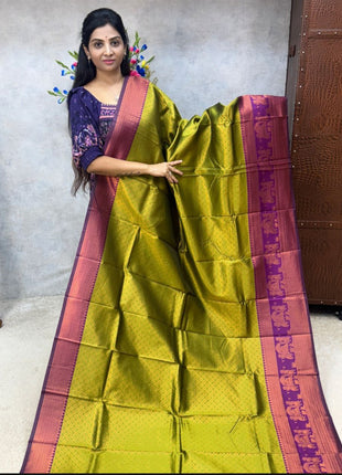 Semi kanchipuram Silk
