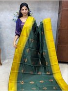 Semi kanchipuram Silk