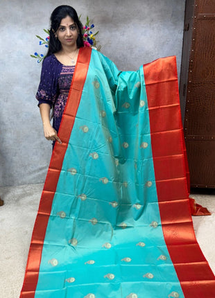 Premium Kanchi