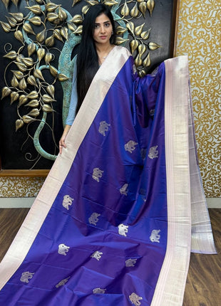 Kanchi Silk