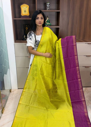 Semi Raw Silk
